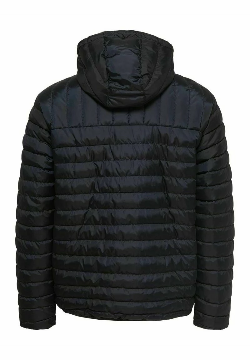 Only & Sons Herren ONSPAUL QUILTED HOOD JACKET - Übergangsjacke - Dark Navy 8 Only & Sons Herren ONSPAUL QUILTED HOOD JACKET - Übergangsjacke - Dark Navy – Bild 8