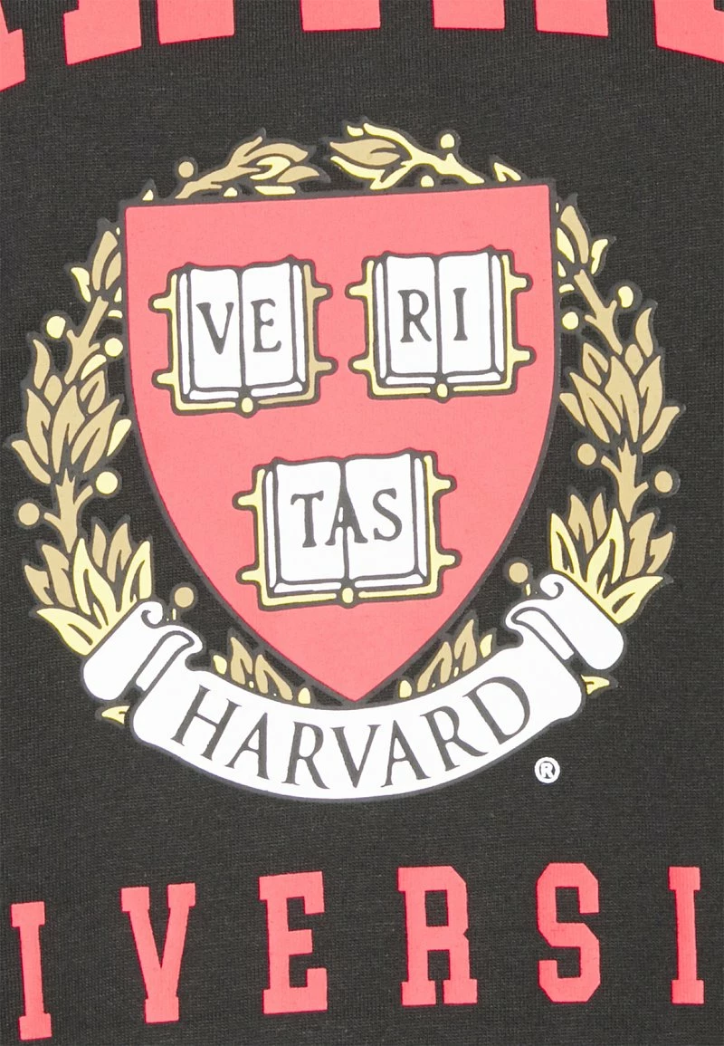 Only & Sons ONSHARVARD T-Shirt Print - Black | Herren T-Shirt 3 Only & Sons ONSHARVARD T-Shirt Print - Black | Herren T-Shirt – Bild 3