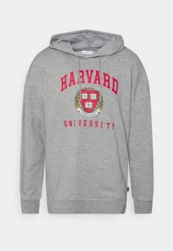 Only & Sons ONSHARVARD HOODIE UNISEX - Sweatshirt Hellgrau Melange - Bequem & Stilvoll