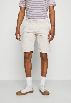 Only & Sons Herren ONSWILL LIFE REG - Chino Shorts in Glacier Gray
